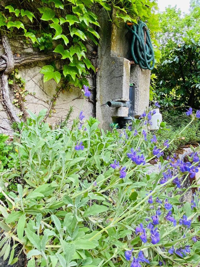Les Chambres d'Hôtes du Bois Joli Semur-en-Auxois Exterior foto